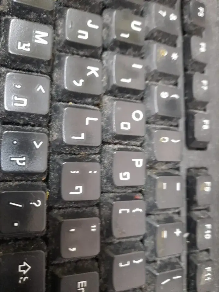 תמונה ללא תיאור